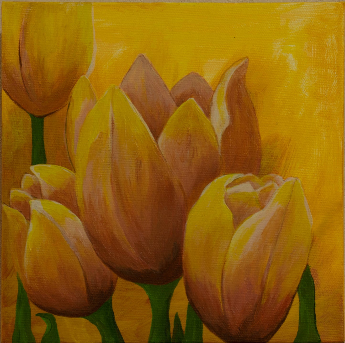 Sunshine Tulips